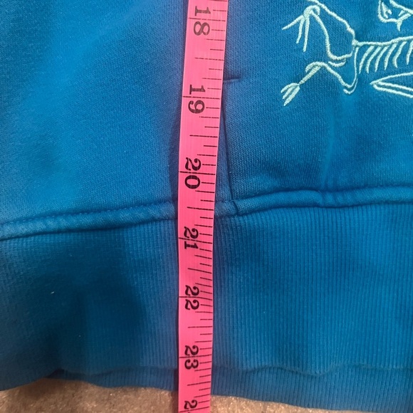 [M]Arcteryx Blue Detente Hoodie Logo Brand WMN Gorpcore Y2K - Picture 5 of 8